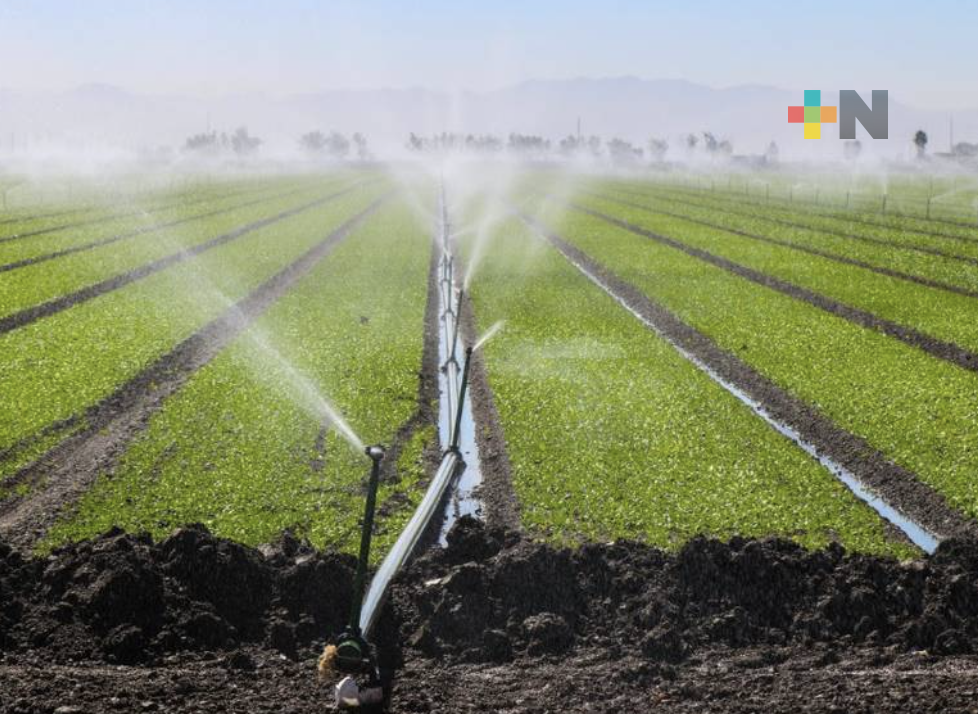 Cuatro nuevos distritos de riego aumentarán producción agrícola en México
